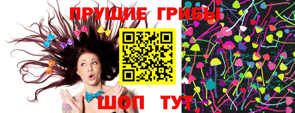 Галлюциногенные грибы прущие грибы  Вход с VPN  Кинель  Галлюциногенные грибы Cubensis 